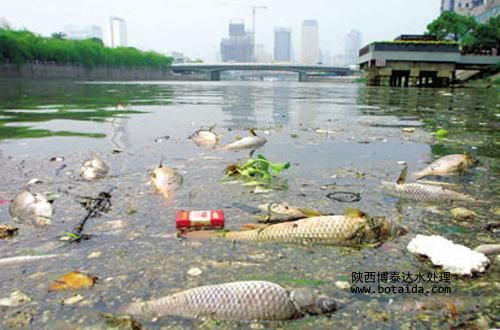 離子交換樹脂對污染如何進行處理？